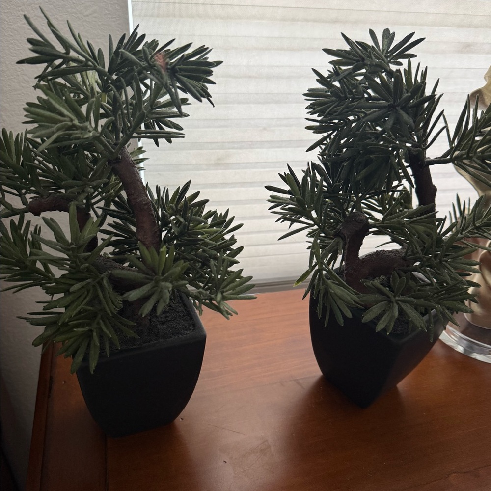 Artificial Pine Bonsai in Black Pot Set of 2